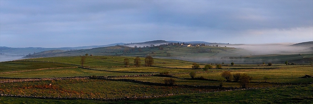 Aubrac